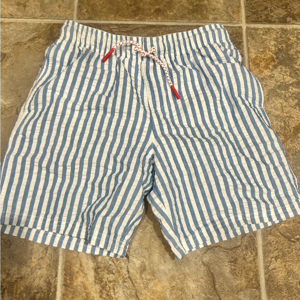 Cat and Jack Blue and White Striped Men's Shorts